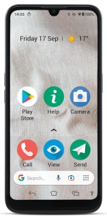 SmartPhone 8100 32GB 4G - gris